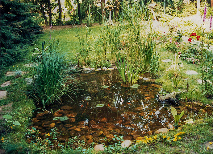 1985: Der Teich nach einem Jahr