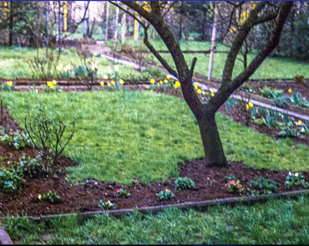 Garten um 1965