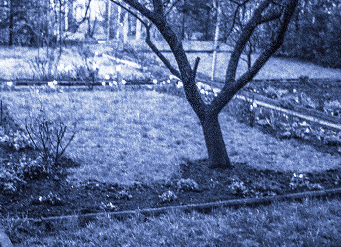 Ein Garten im Wandel